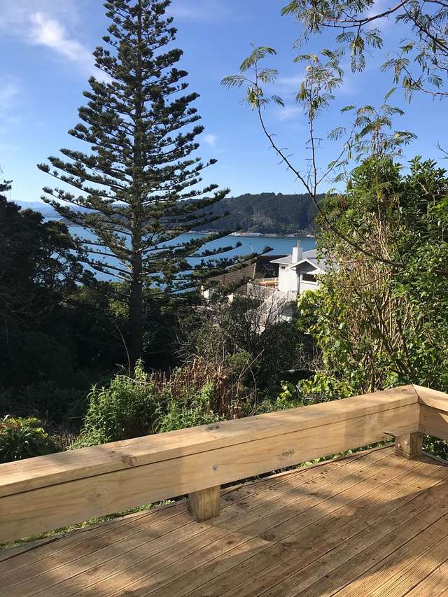 120 Te Anau Road Hataitai_3