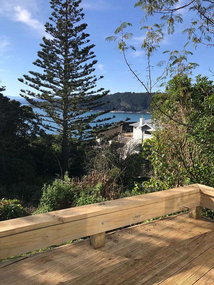 120 Te Anau Road Hataitai_3