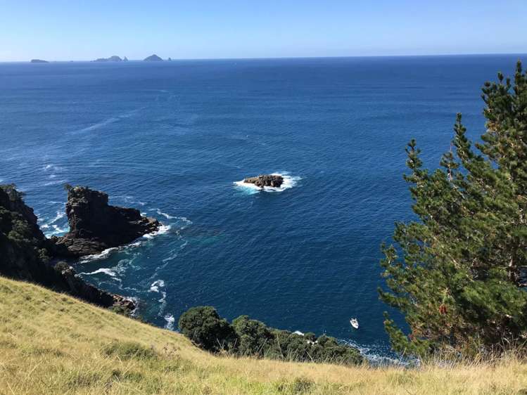 190 Pacific Ocean, Slipper Island (Whakahua) Thames_16