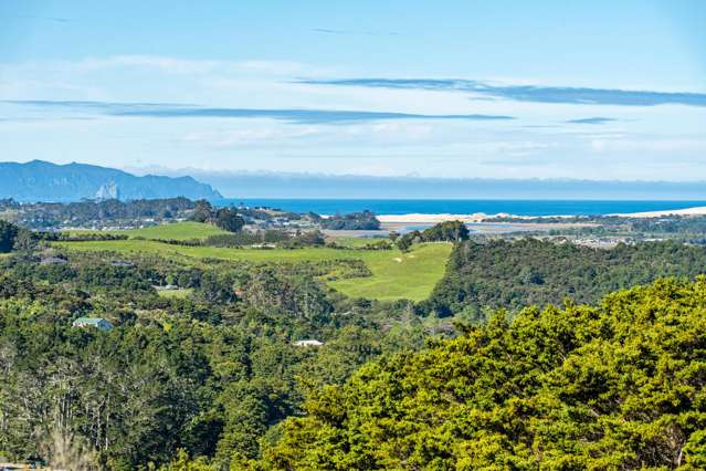 476 Cames Road Mangawhai_1