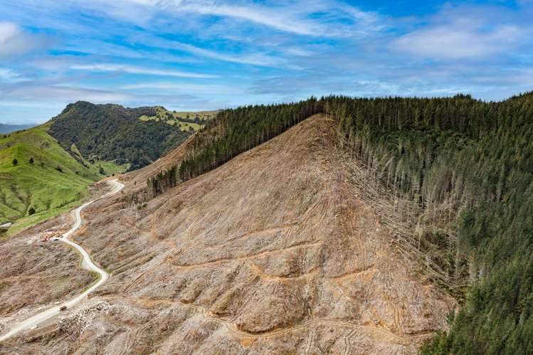 Lots 2-4, 14, 15, DP 9115 Motu Road Matawai_5