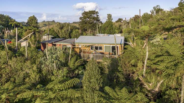 872 Ponga Road Opaheke_2