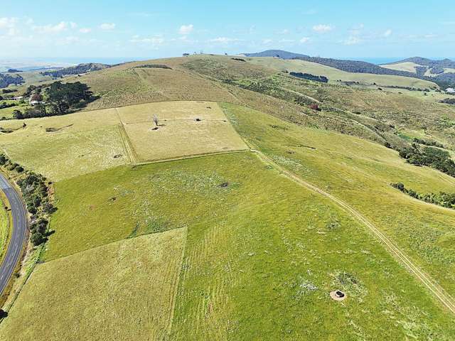 Cnr Hood Rd and SH12 Dargaville Surrounds_4