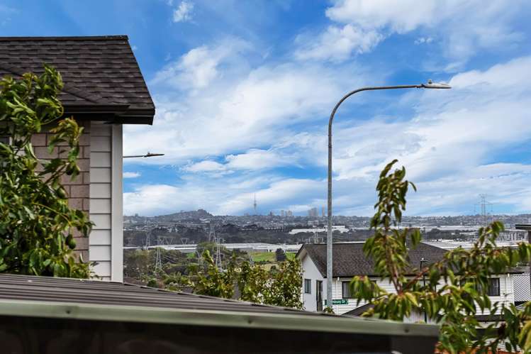 115 Thomas Road Flat Bush_36