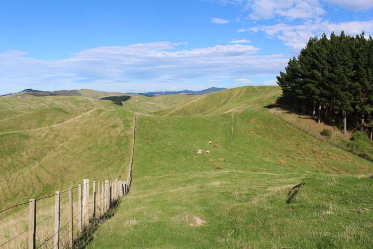 750 Otahome Road Otahome_12