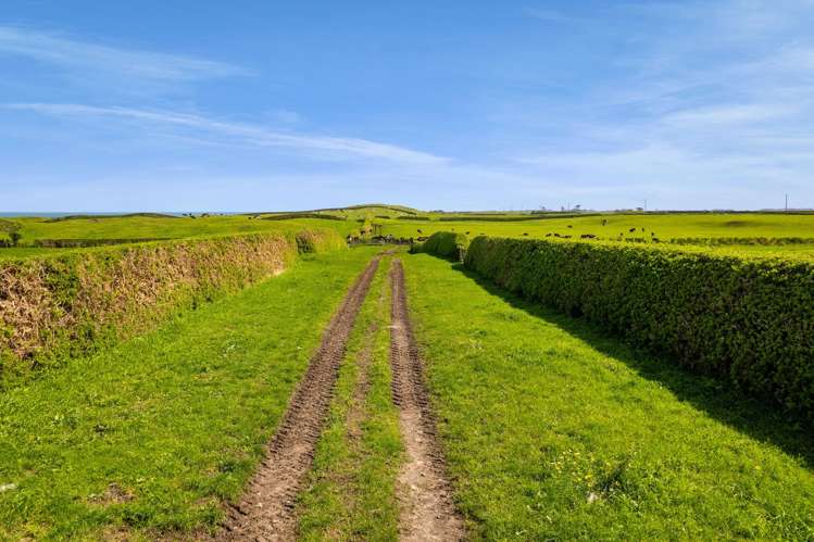 3789 South Road Opunake_24