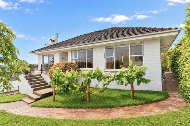 171 Ellicott Road Nawton_1