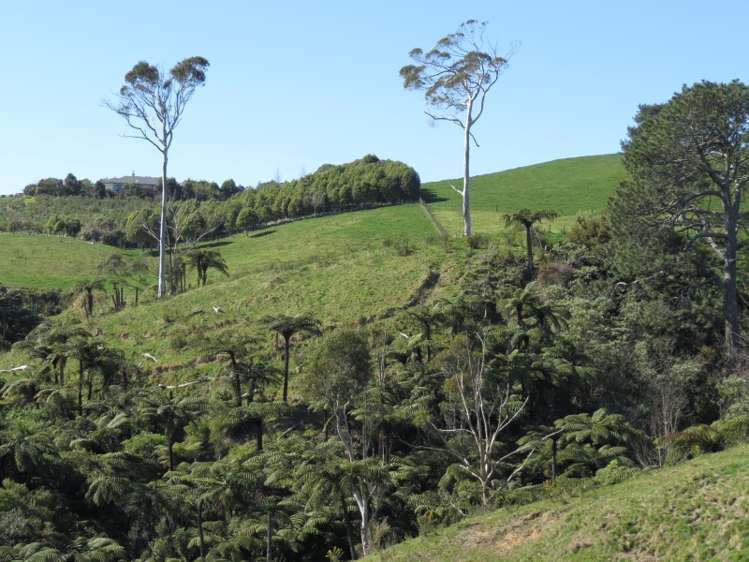 665 Minden Road Wairoa_5