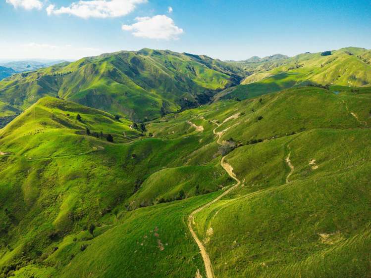 Matawai Station, 772 Oliver Road_0