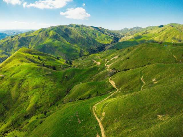Hill country scale in Matawai, Gisborne