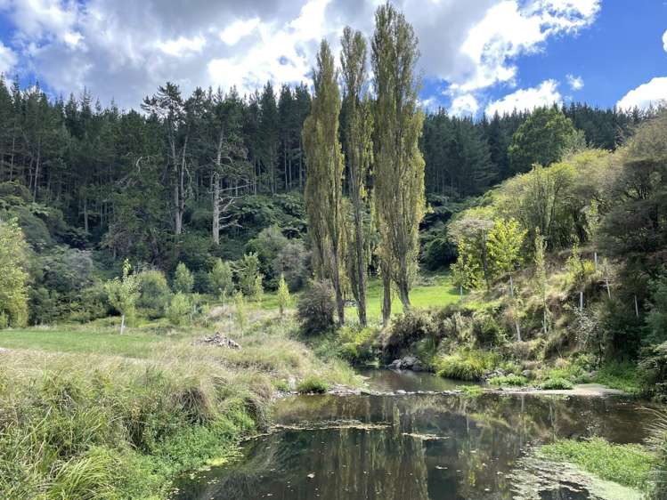 9 Karapiro Road Karapiro_9