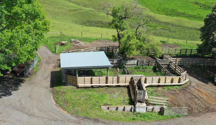 44 Wallace Road Temple View_21