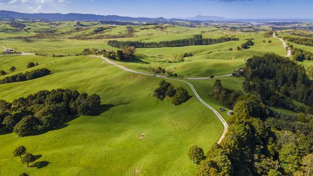 Lifestyles on Lawrence, Mangawhai