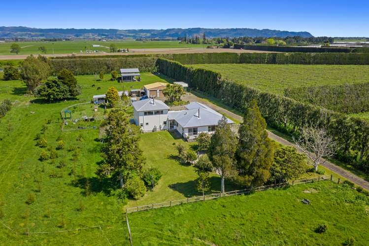 424 East Bank Road Edgecumbe_15