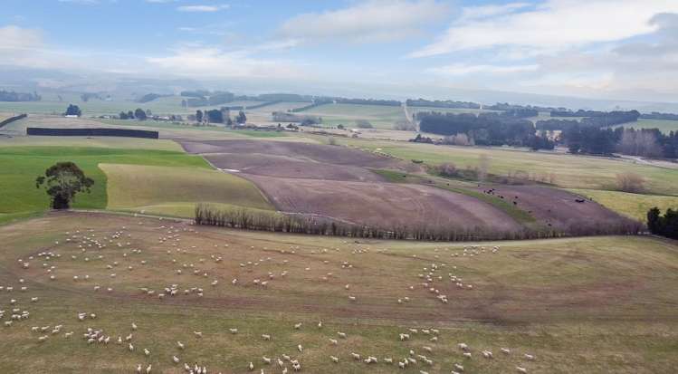 81 Waimotu Road Maheno_5