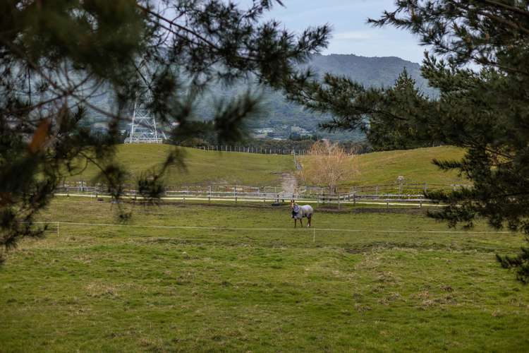 45, 49 and 51 End Farm Road Waikanae_14