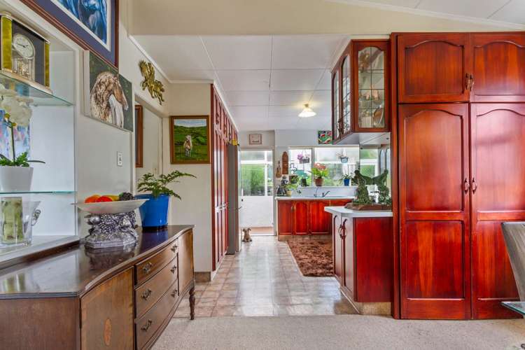 217 Annesbrook Drive Wakatu_7