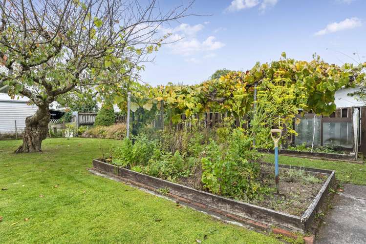 51 East Street Greytown_12