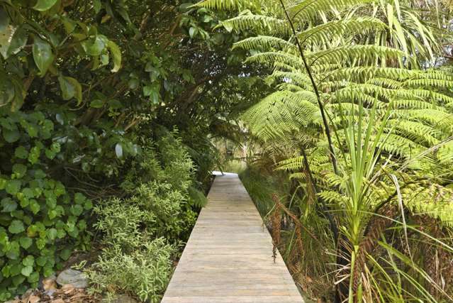 132 Maui Pomare Road Nikau Valley_4