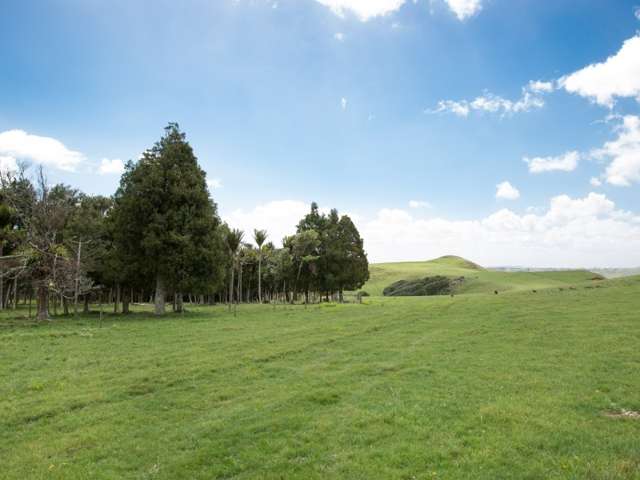 1033 Mangiti Road Te Akau_4