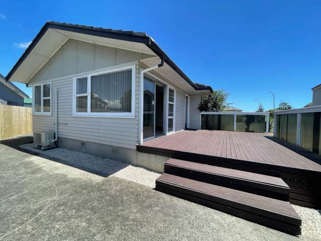 66 Raglan Street Mangere East_1