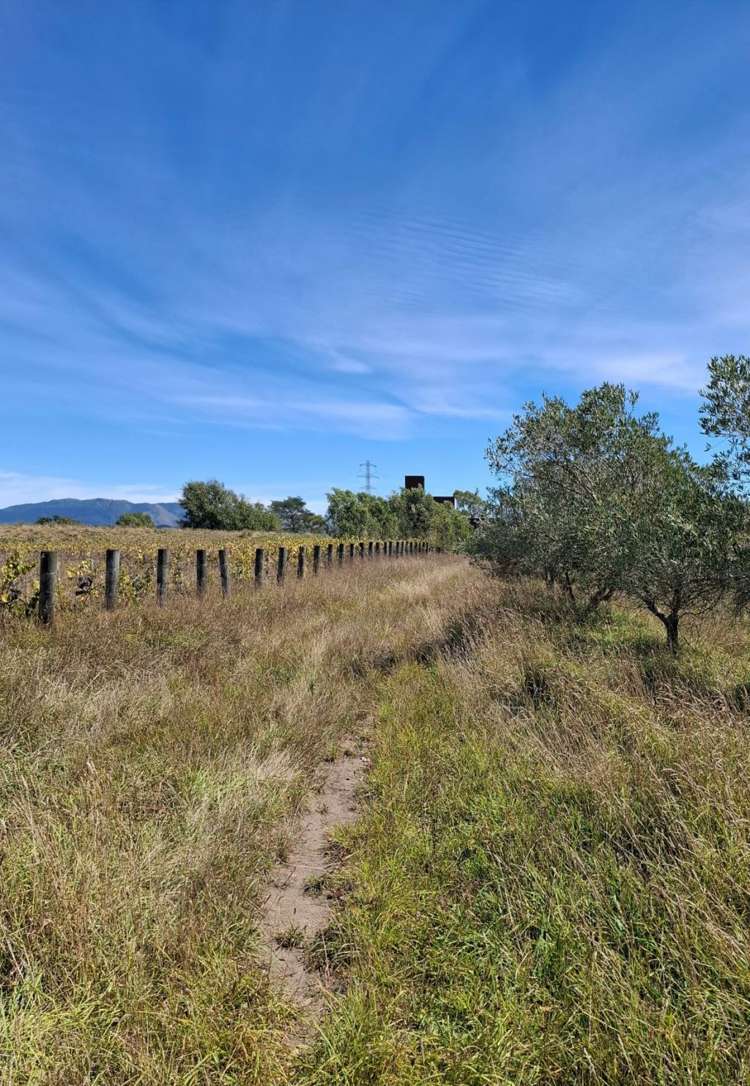 244D Georges Road Amberley_13