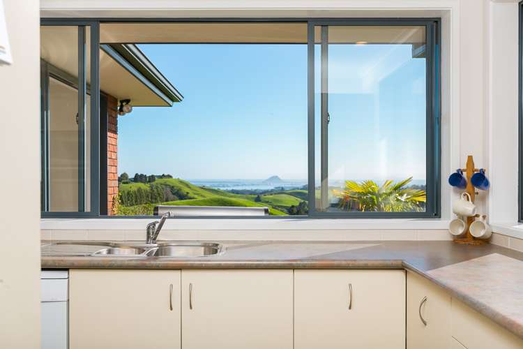 103e Rowe Road Ohauiti_9