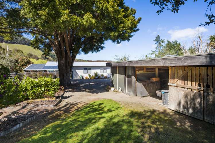 443 Reu Reu Road Halcombe_7