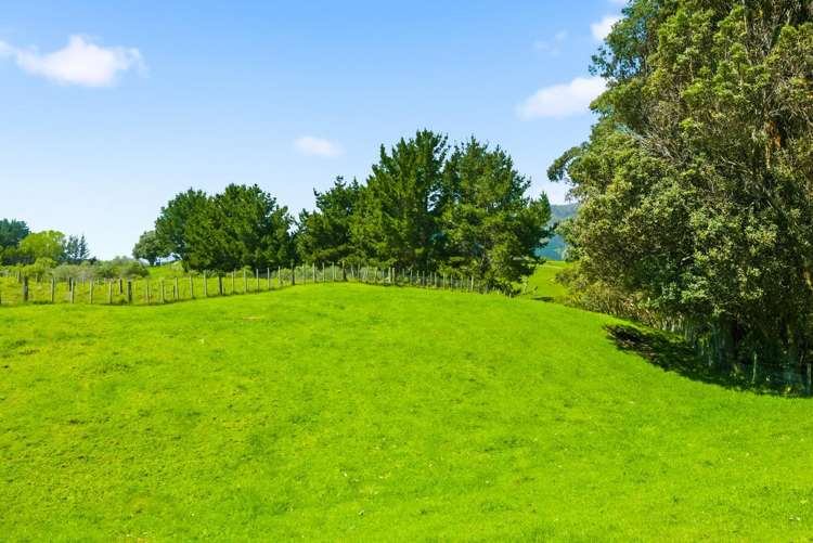 340D Ngarara Road Waikanae_25