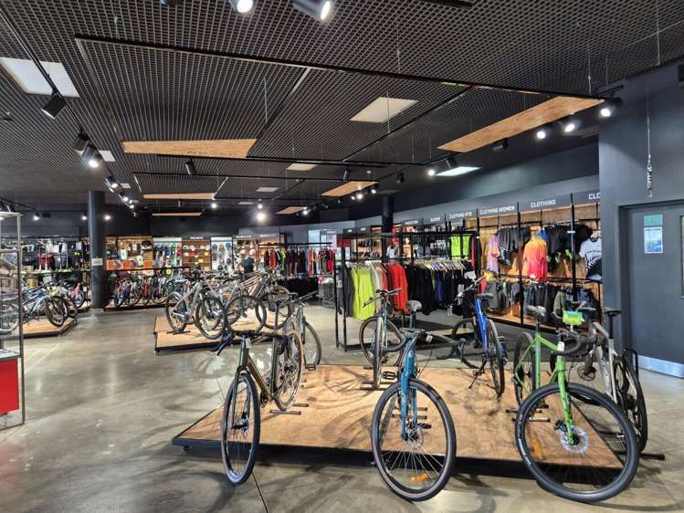 181 Vivian Street Te Aro_8