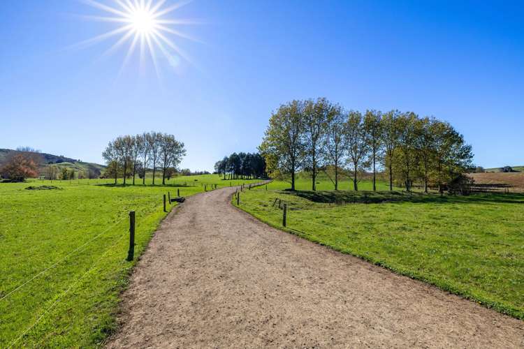 141 Te Mata Road Raglan_39