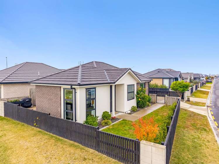 77 Union Drive Papamoa_1