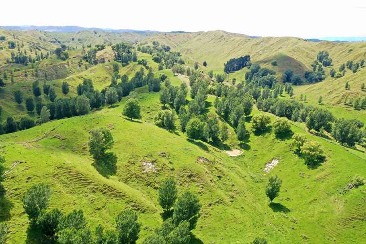 174 Clydebank Road Wairoa_20