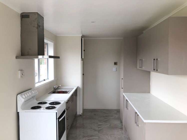 1 Larsen Road Panmure_2