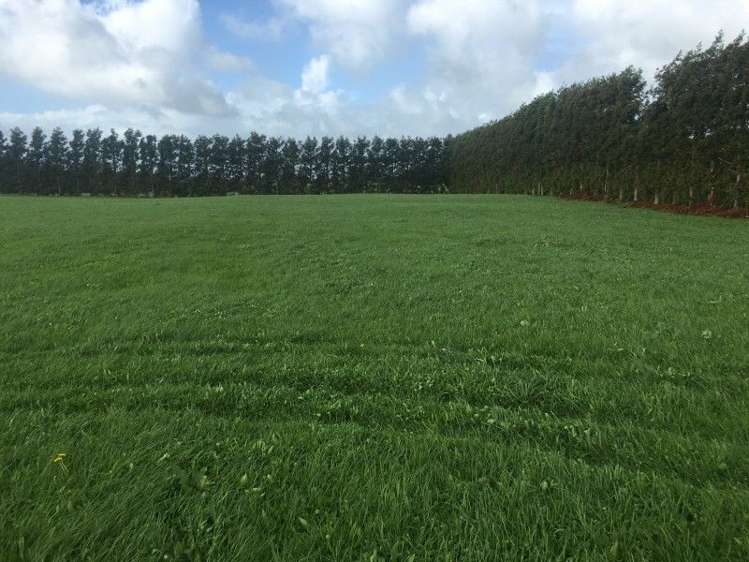 457 Kent Road Korito_17