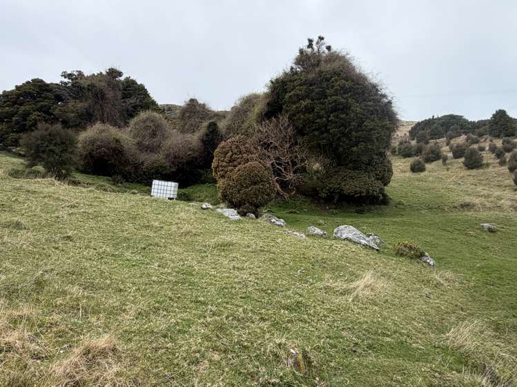 490 Long Bay Road Akaroa_32