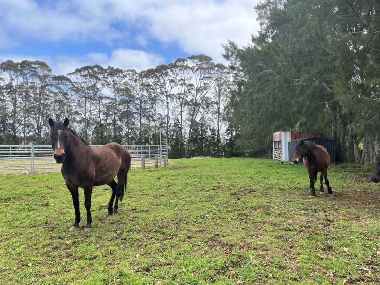 34 Macadamia Lane Kerikeri_27