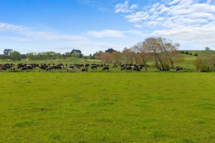 178 Furniss Road Ruawaro_12