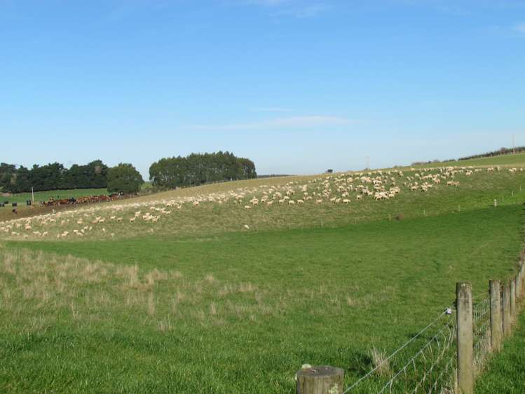 749 Woodslea Downs Road Wyndham Surrounds_9