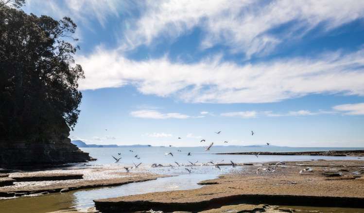 89f William Bayes Place Red Beach_6