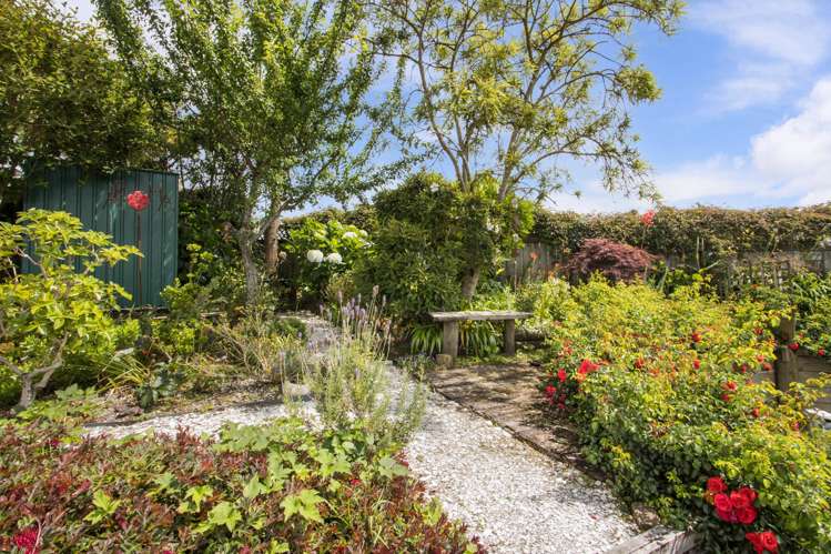 18 Blundell Place Katikati_10