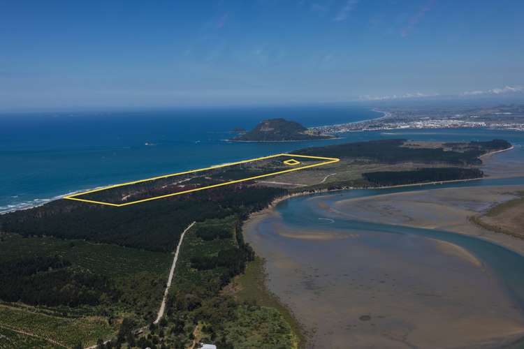 205 Matakana Island, 148 HA Matakana Island_7