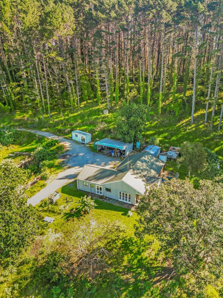 110 Whangape Track Road Broadwood_31
