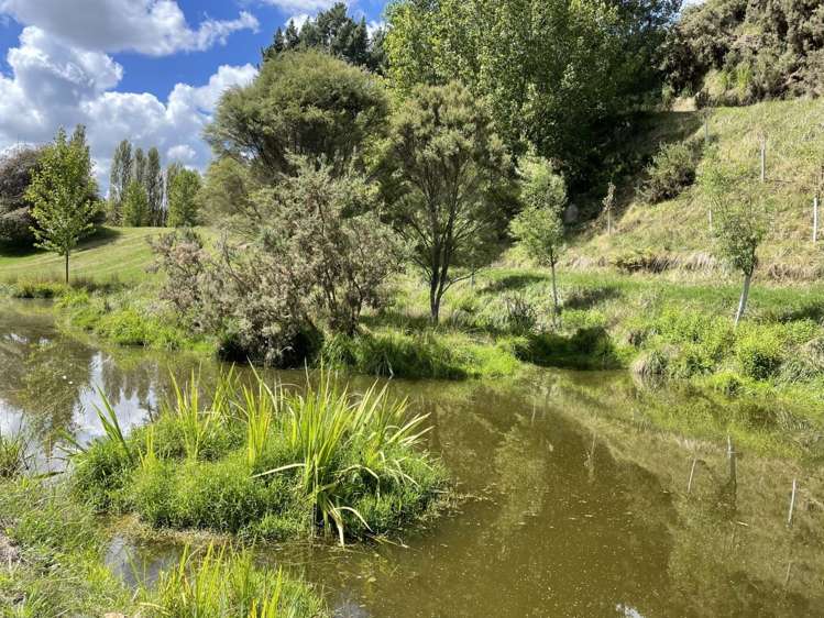 9 Karapiro Road Karapiro_46