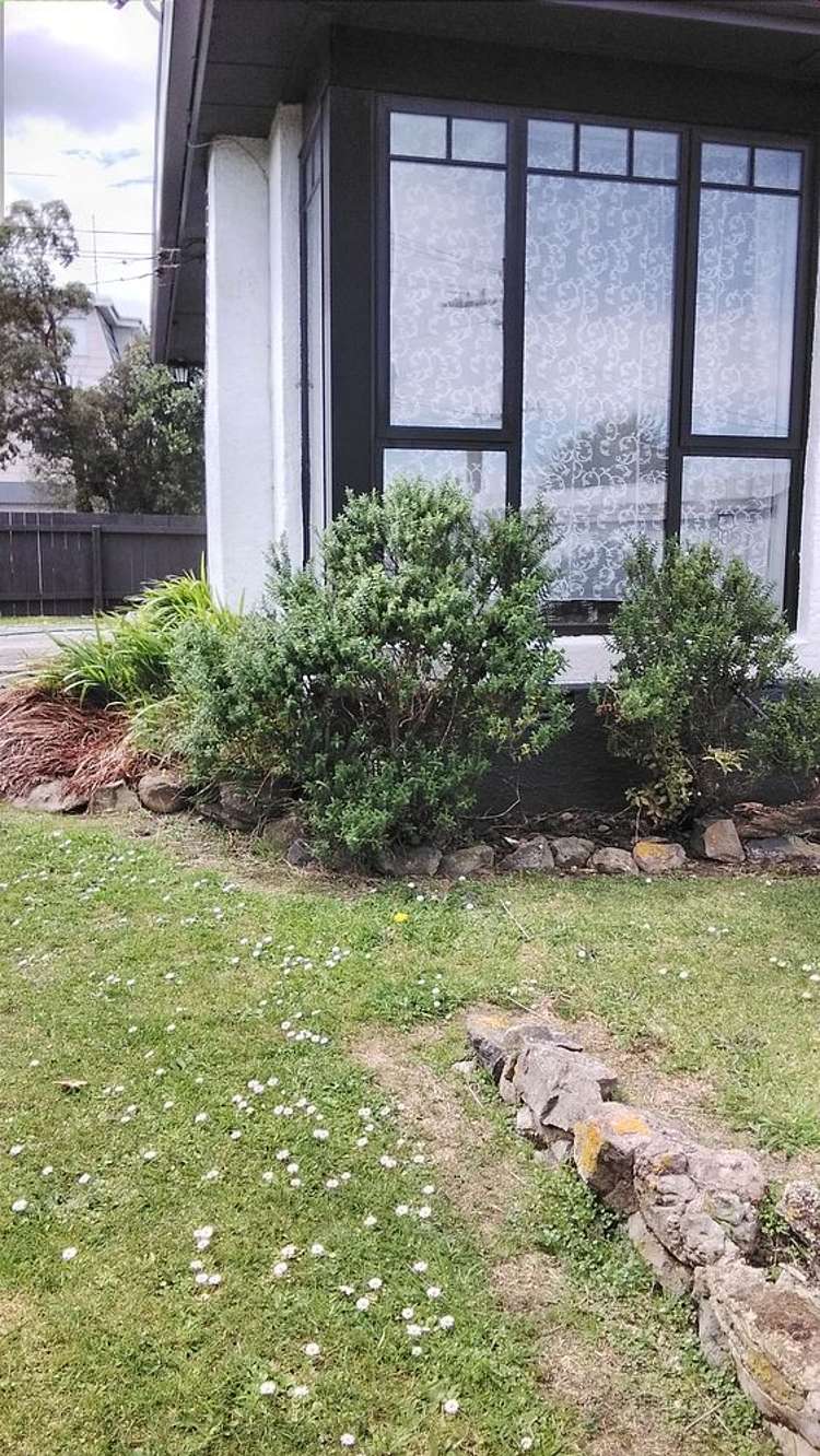 37 Scobie Road Waverley_4