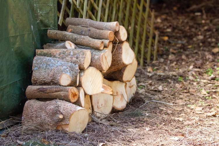 598c Wright Road Aongatete_25