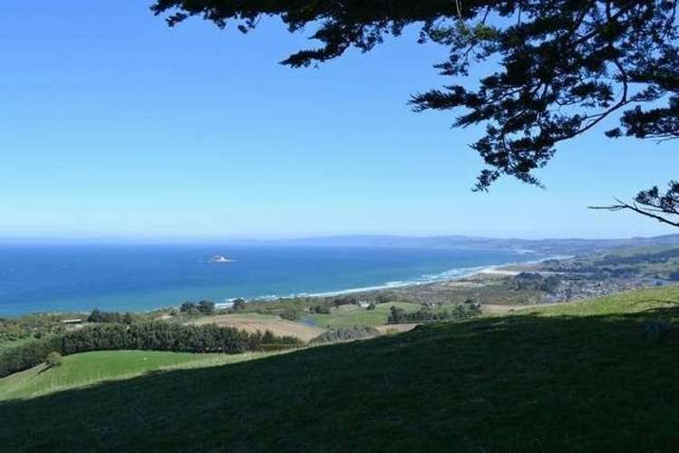 215 Green Island Bush Road Waldronville_7