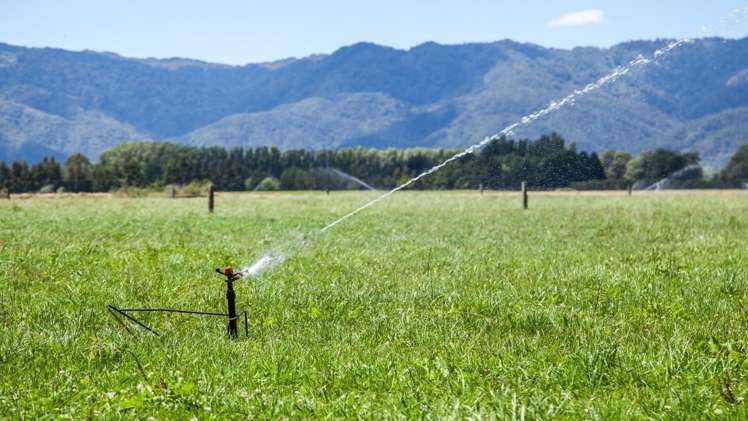 128 Mangamutu Road Murupara Surrounds_13