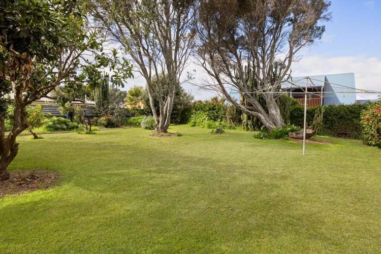 13A Links Avenue Mt Maunganui_6