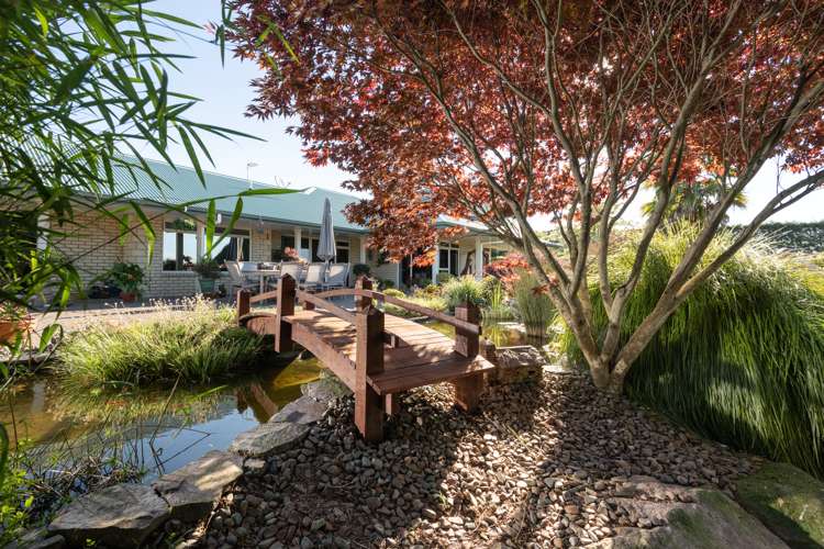 585d Mclaren Falls Road Kaimai_20